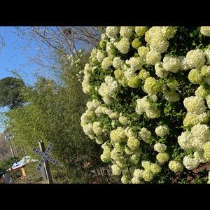 Meet your Posher, Kylie